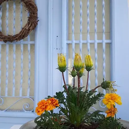 Сasa de vacaciones Cavos Seaside House Vathí - Ítaca