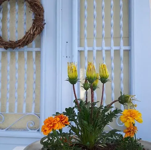 Feriehus Cavos Seaside House Vathy (Ithaca)