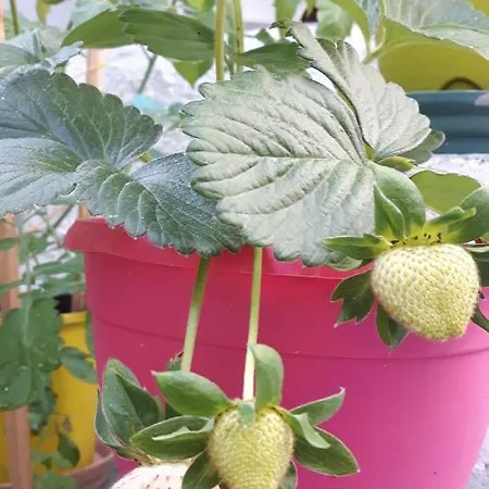 Cavos Seaside House Semesterbostad Vathy (Ithaca)