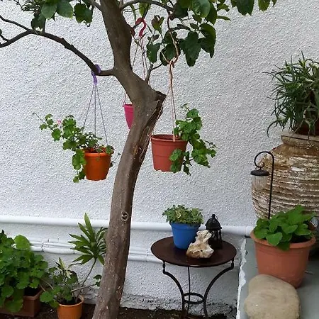 Vakantiehuis Cavos Seaside House Vathy (Ithaca)